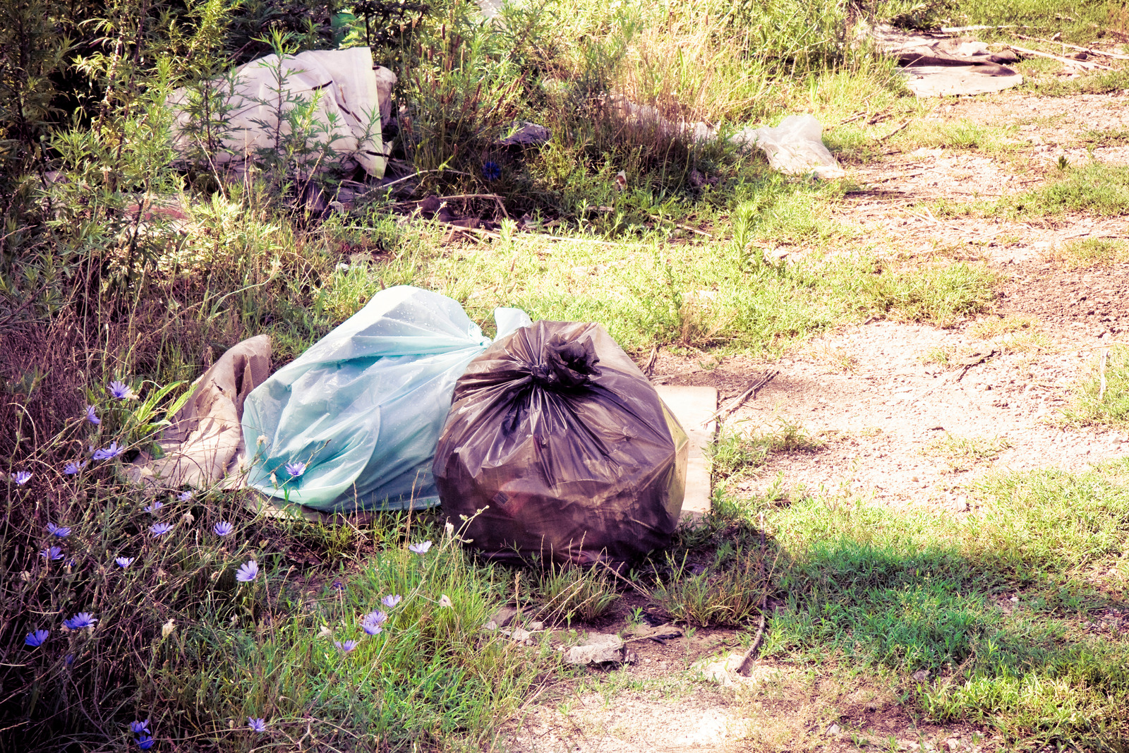 Abbotsford Property Cleanup for Illegally Dumped Waste
