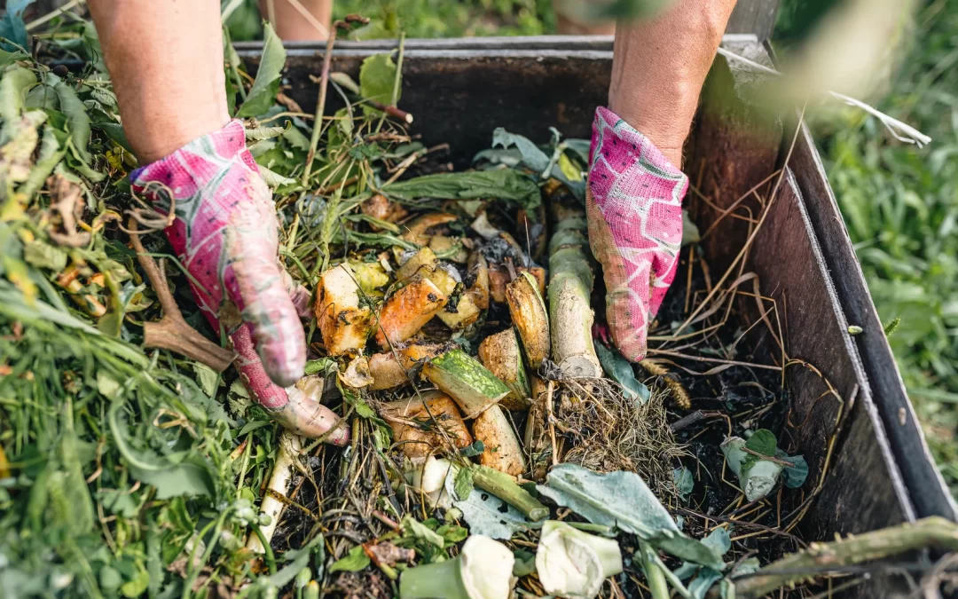 Why Commercial Kitchens Prefer Organic Waste Solutions