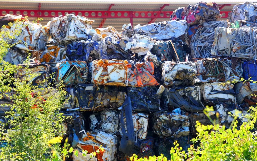 Can Junk Removal Services in Burnaby Handle Hazardous Waste?
