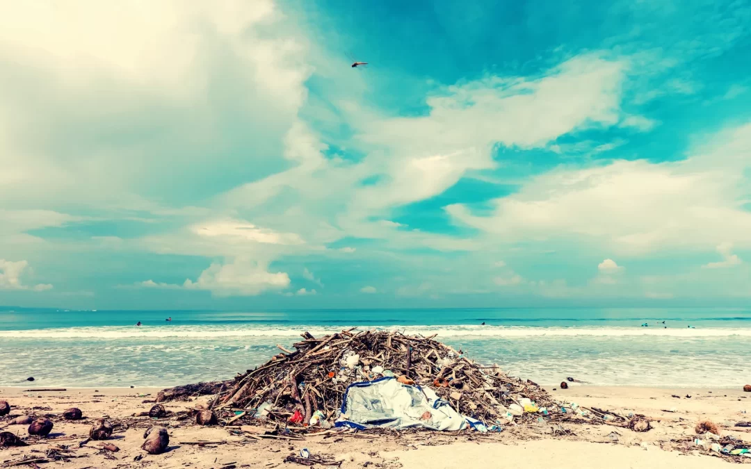 Why Chilliwack Businesses Prioritize Toxic Waste Disposal