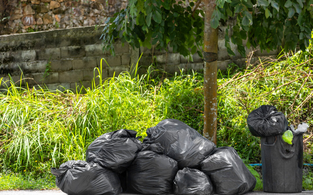 End-of-Month Cleanup: Why Chilliwack Needs Fast Junk Removal Services