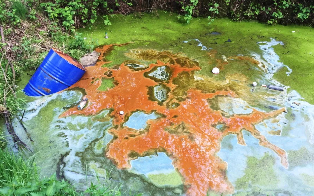 How Improper Toxic Waste Disposal Impacts Chilliwack’s Environment
