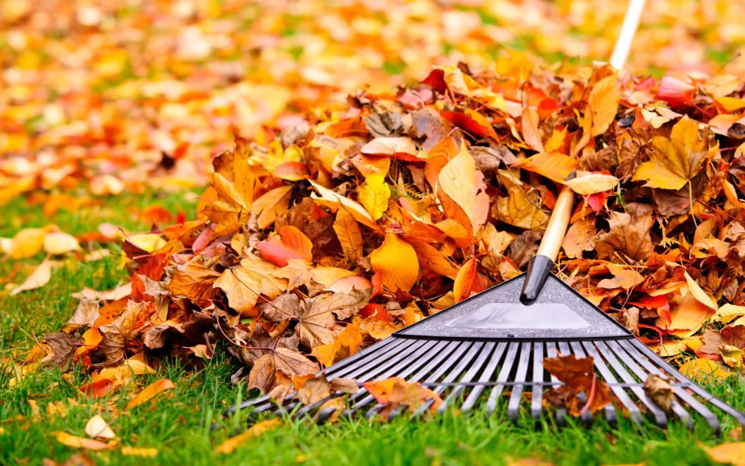 Seasonal Junk Removal Tips: Fall Cleanouts Made Easy