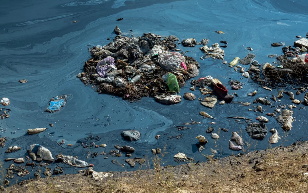 Why Hiring Professionals for Hazardous Waste Disposal in Coquitlam