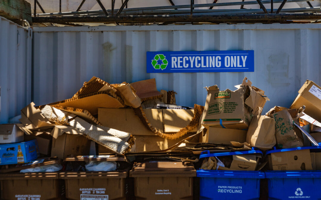 Why Commercial Cardboard Recycling Programs Make Sense