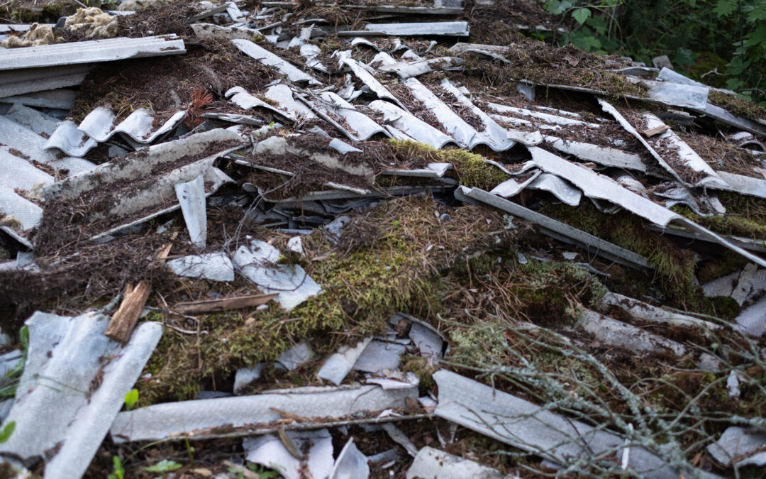 What Should You Do With Asbestos Waste After Removal in Maple Ridge?
