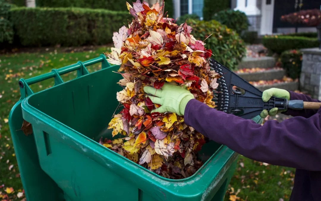 Fall Cleanout Made Easy: Junk Removal Services for Mission Homeowners