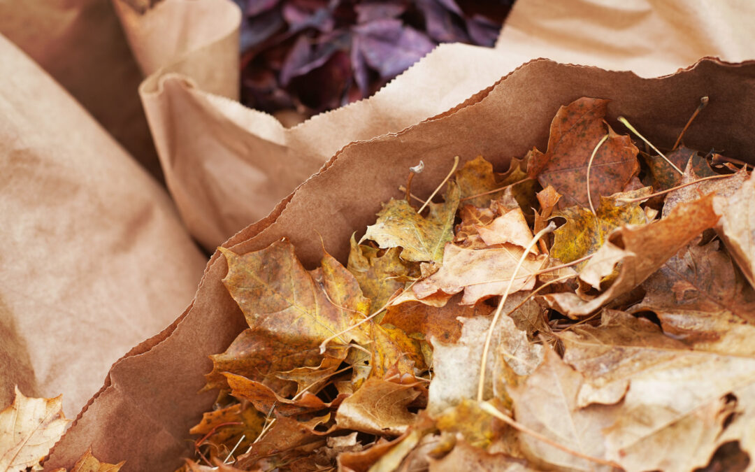 Junk Removal in Fall: Solutions for Homes and Businesses