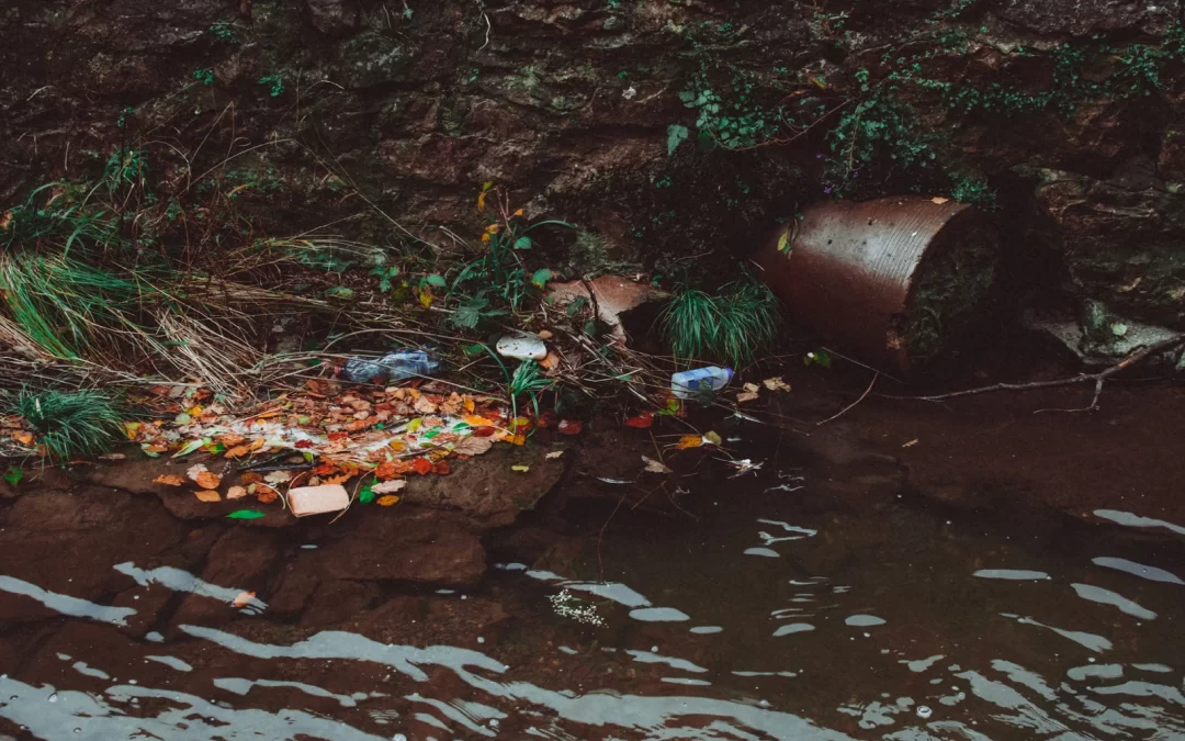 How Proper Hazardous Waste Disposal Keeps Nanaimo’s Environment Healthy