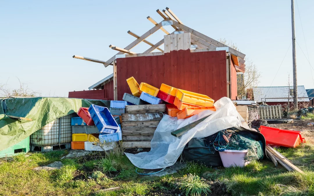 When Should You Call a Junk Removal Service in Port Coquitlam?