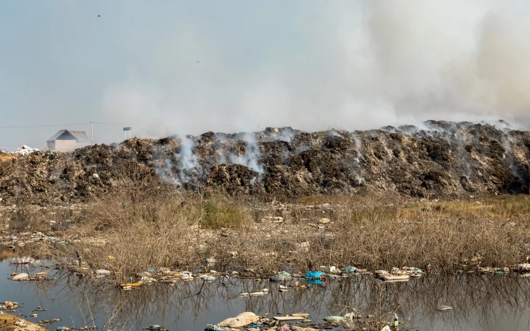 Immediate Hazardous Waste Disposal Solutions in Port Coquitlam
