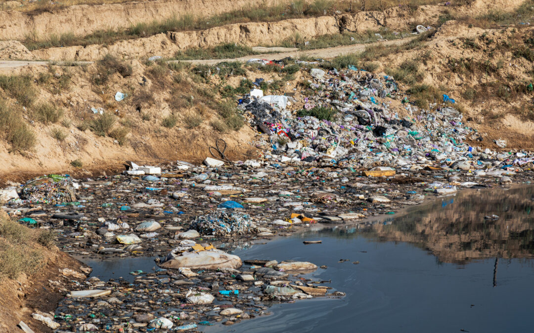 Port Coquitlam Toxic Waste Disposal: A Complete Business Guide