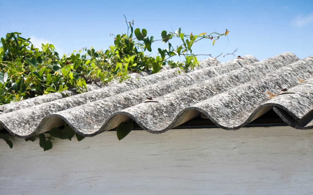 Why Certified Asbestos Waste Disposal Matters for Commercial Sites