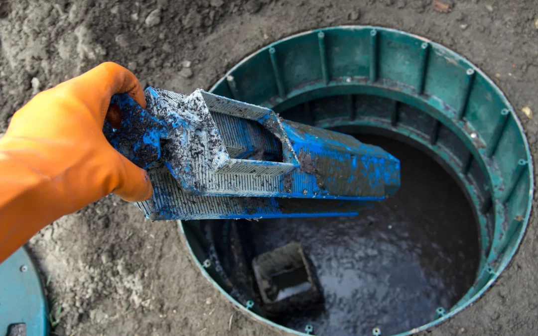 Dirt Removal Richmond: Fast, Clean & Affordable Services