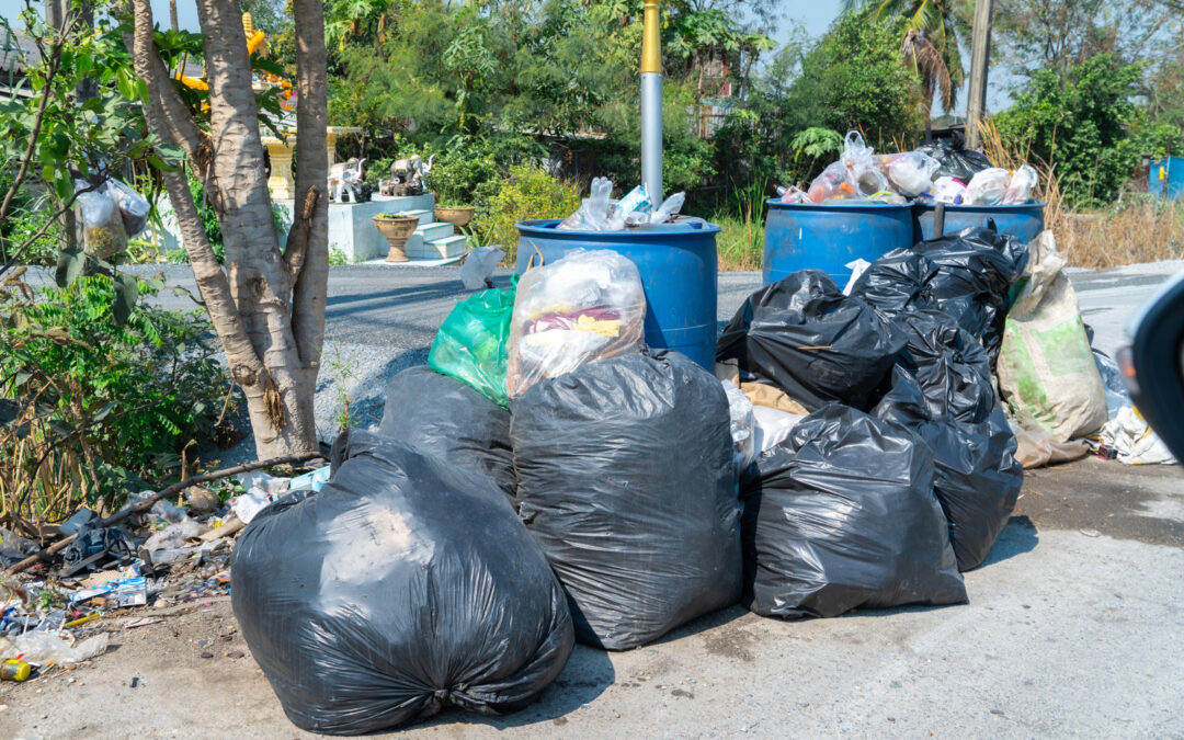 Why Every Squamish Business Needs Reliable Junk Removal Services