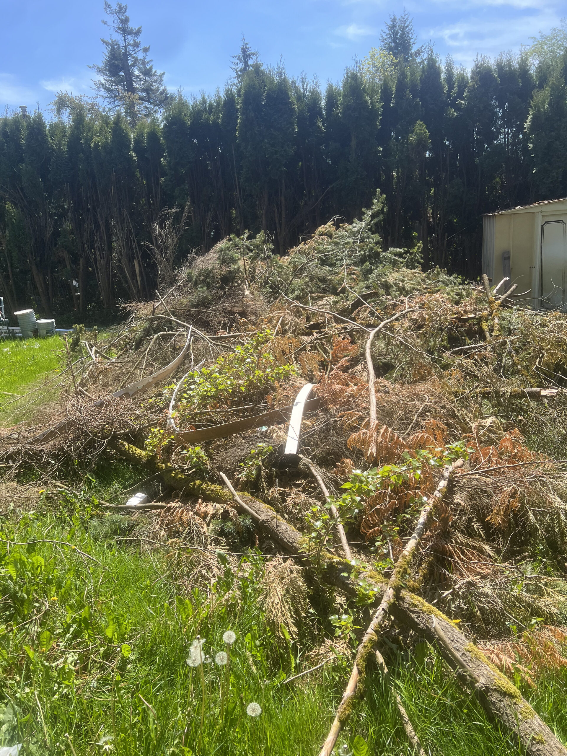 Green waste Green waste scaled