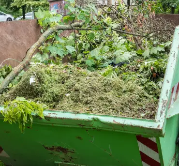 Benefits of Green Waste Recycling 1 image siz 370 x 343 Benefits of Green Waste Recycling 1 image siz 370 x 343