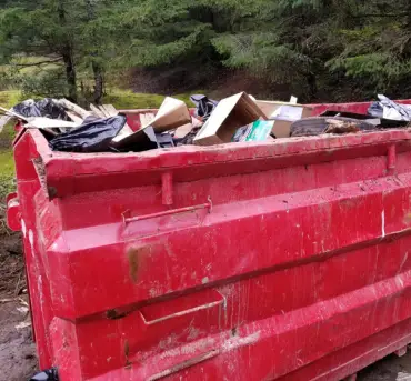 Benefits of Illegal Dumping Cleanup 1 image siz 370 x 343 Benefits of Illegal Dumping Cleanup 1 image siz 370 x 343