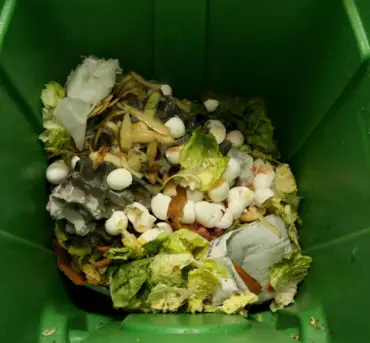 Sustainable Food Waste Disposal Practices 1 image siz 370 x 343 Sustainable Food Waste Disposal Practices 1 image siz 370 x 343