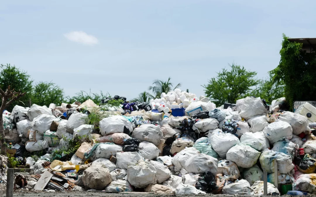 How Businesses in Port Coquitlam Can Reduce Plastic Waste