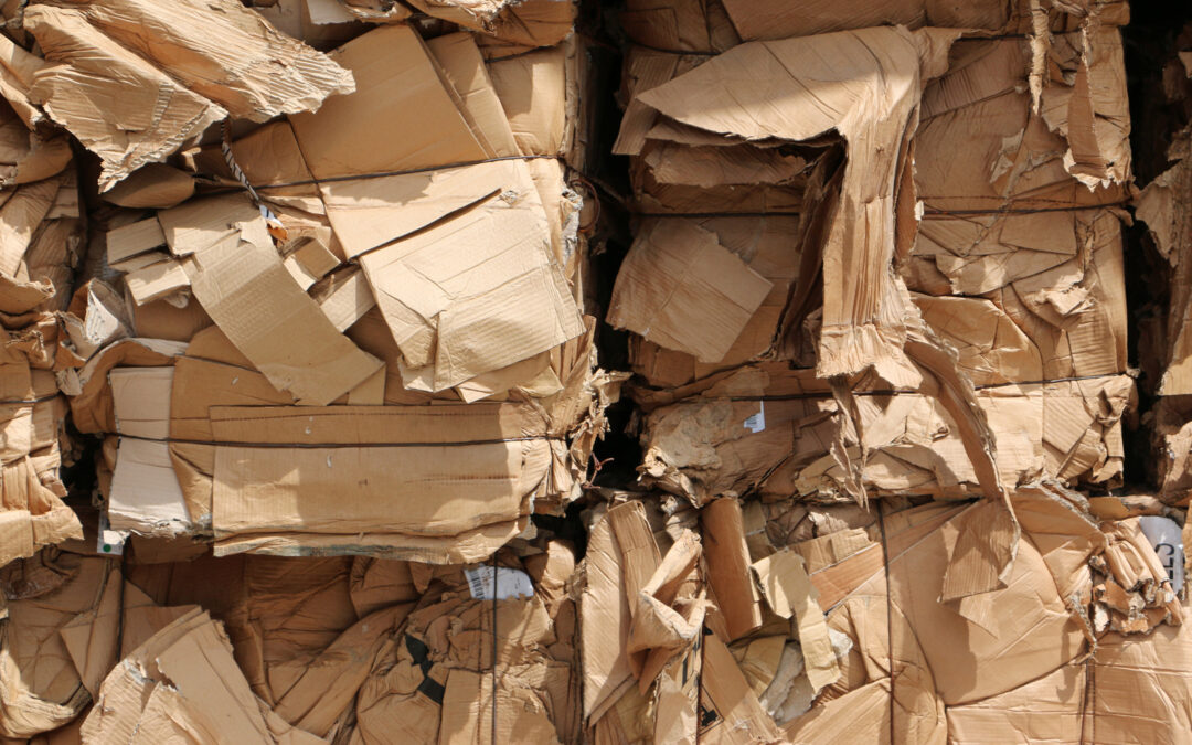 How to Handle Bulk Cardboard Waste in Vancouver Workplaces