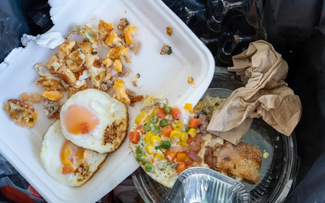 Commercial food waste disposal