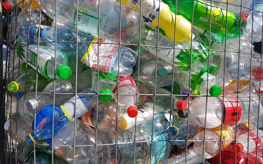 Is Your Plastic Waste Hurting Port Coquitlam’s Environment?