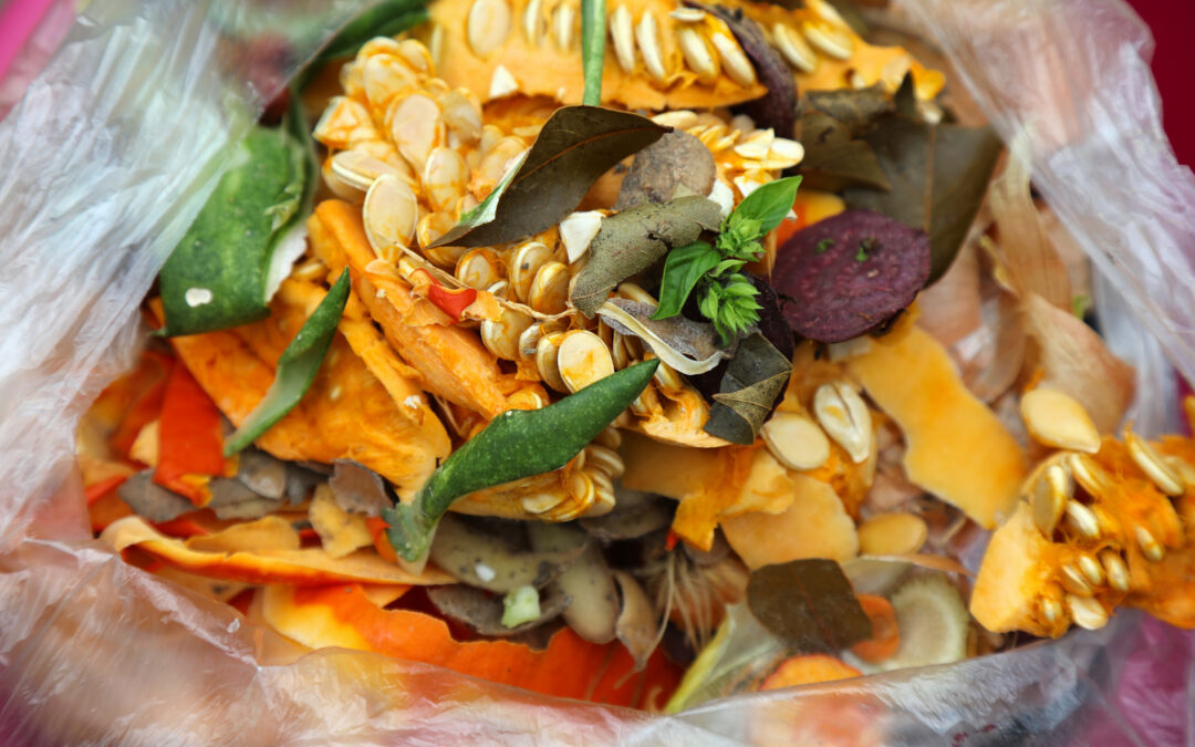 How Recycling Food Waste Helps Vancouver’s Environment