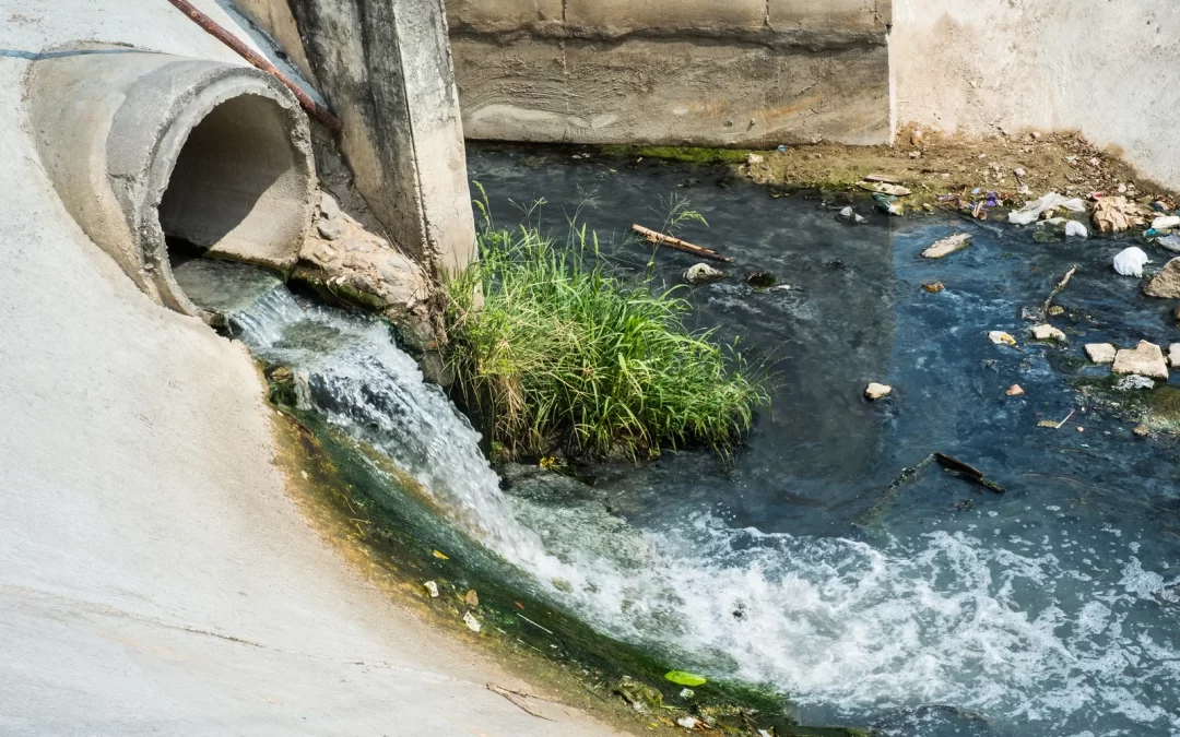 What Household Products Require Hazardous Waste Drop-Off?