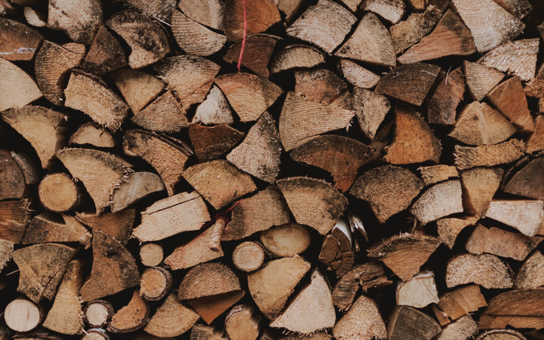 How to Properly Handle Treated Wood Removal in Victoria