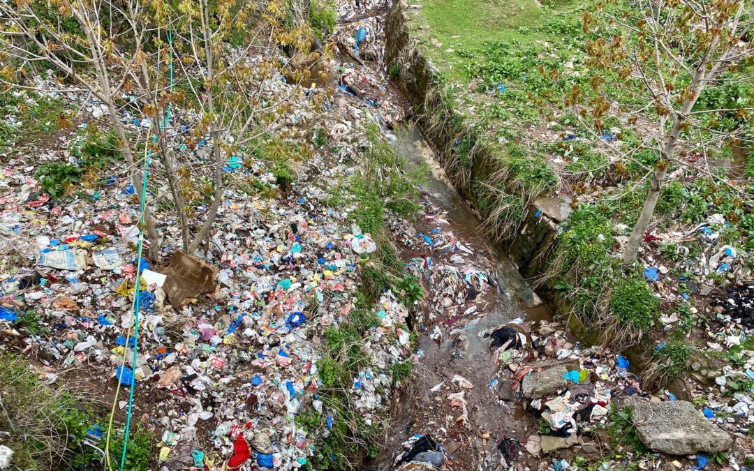 How Improper Toxic Waste Disposal Impacts Victoria’s Environment