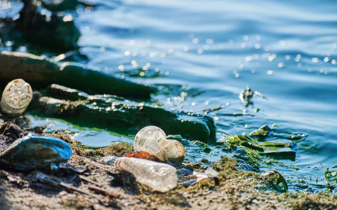 Why Professional Hazardous Waste Disposal Matters in Victoria