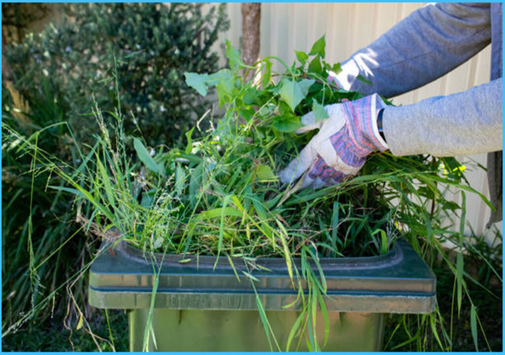 Recycling and Waste Management Services in BC