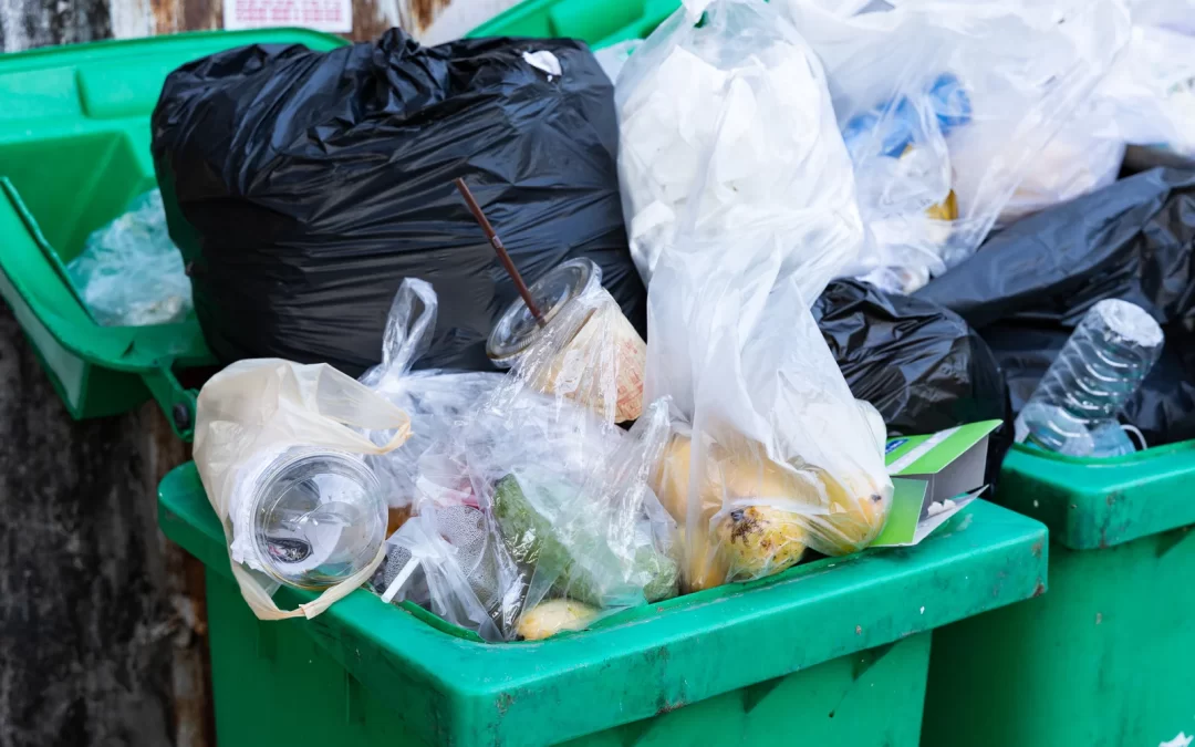 Household Hazardous Waste: Surrey Disposal Guide