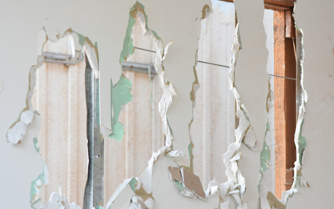 Where Can I Take Old or Damaged Drywall for Disposal in Surrey?